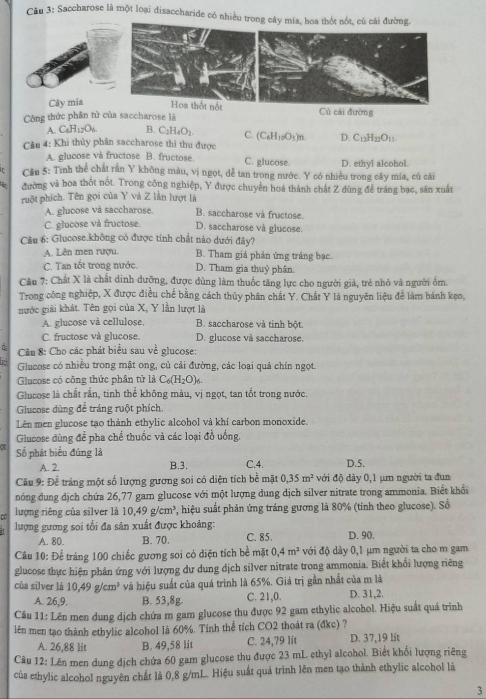 Saccharose là một loại disaccharide có nhiều trong cây mía, hoa thốt nốt, củ cải đường.
Cây mia
hốt nốt Củ cải đường
Công thức phân tử của saccharose là
A. C_6H_12O_6. B. C_2H_4O_2. C. (C_6H_10O_5)n. D. C_12H_22O_11.
Cân 4: Khi thủy phân saccharose thì thu được
A. glucose và fructose B. fructose. C. glucose.
D. ethyl alcohol.
Câu 5: Tinh thể chất rắn Y không màu, vị ngọt, dễ tan trong nước. Y có nhiều trong cây mia, củ cải
ar đường và hoa thốt nốt. Trong công nghiệp, Y được chuyền hoá thành chất Z dùng đề tráng bạc, săn xuất
ruột phích. Tên gọi của Y và Z lần lượt là
A. glucose và saccharose. B. saccharose và fructose.
C. glucose và fructose.
D. saccharose và glucose.
Câu 6: Glucose.không có được tính chất nào dưới đây?
A. Lên men rượu. B. Tham giá phản ứng tráng bạc.
C. Tan tốt trong nước. D. Tham gia thuỷ phân.
Cầu 7: Chất X là chất dinh dưỡng, được dùng làm thuốc tăng lực cho người già, trẻ nhỏ và người ốm.
Trong công nghiệp, X được điều chế bằng cách thủy phân chất Y. Chất Y là nguyên liệu đề làm bánh kẹo,
nước giải khát. Tên gọi của X, Y lần lượt là
A. glucose và cellulose. B. saccharose và tinh bột.
C. fructose và glucose. D. glucose và saccharose.
C  Câu 8: Cho các phát biểu sau về glucose:
Glucose có nhiều trong mật ong, củ cải đường, các loại quả chín ngọt.
Glucose có công thức phân tử là C_6(H_2O)_6.
Glucose là chất rắn, tinh thể không màu, vị ngọt, tan tốt trong nước.
Glucose dùng đề tráng ruột phích.
Lên men glucose tạo thành ethylic alcohol và khí carbon monoxide.
Glucose dùng để pha chế thuốc và các loại đồ uống.
of Số phát biểu đúng là
A. 2. B.3. C.4. D.5.
Câu 9: Đề tráng một số lượng gương soi có diện tích bề mặt 0,35m^2 với độ dày 0,1 μm người ta đun
nóng dung dịch chứa 26,77 gam glucose với một lượng dung dịch silver nitrate trong ammonia. Biết khối
C lượng riêng của silver là 10,49g/cm^3 , hiệu suất phản ứng tráng gương là 80% (tính theo glucose). Số
lượng gương soi tối đa sản xuất được khoảng:
A. 80. B. 70. C. 85. D. 90.
Câu 10: Để tráng 100 chiếc gương soi có diện tích bề mặt 0,4m^2 ớới độ dày 0,1 μm người ta cho m gam
glucose thực hiện phản ứng với lượng dư dung dịch silver nitrate trong ammonia. Biết khổi lượng riêng
của silver là 10,49g/cm^3 và hiệu suất của quá trình là 65%. Giá trị gần nhất của m là
A. 26,9. B. 53,8g. C. 21,0. D. 31,2.
Câu 11: Lên men dung dịch chứa m gam glucose thu được 92 gam ethylic alcohol. Hiệu suất quá trình
lên men tạo thành ethylic alcohol là 60%. Tính thể tích CO2 thoát ra (đkc) ?
A. 26,88 lit B. 49,58 lít C. 24,79 lít D. 37,19 lit
Câu 12: Lên men dung dịch chứa 60 gam glucose thu được 23 mL ethyl alcohol. Biết khổi lượng riêng
của ethylic alcohol nguyên chất là 0,8 g/mL. Hiệu suất quá trình lên men tạo thành ethylic alcohol là
3