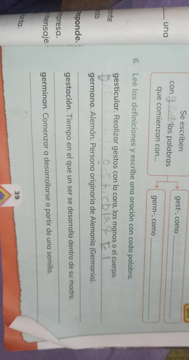 Se escriben 
gest-, como 
con _las palabras 
_ 
. 
_una 
que comienzan con... 
germ-, como_ 
6. Lee las definiciones y escribe una oración con cada palabra. 
gesticular. Realizar gestos con la cara, las manos o el cuerpo. 
rente 
sto 
_ 
germano. Alemán. Persona originaria de Alemania (Germania). 
responde. 
_ 
gestación. Tiempo en el que un ser se desarrolla dentro de su madre. 
empresa. 
_ 
mensaje. germinan. Comenzar a desarrollarse a partir de una semilla. 
_ 
anta. 
39