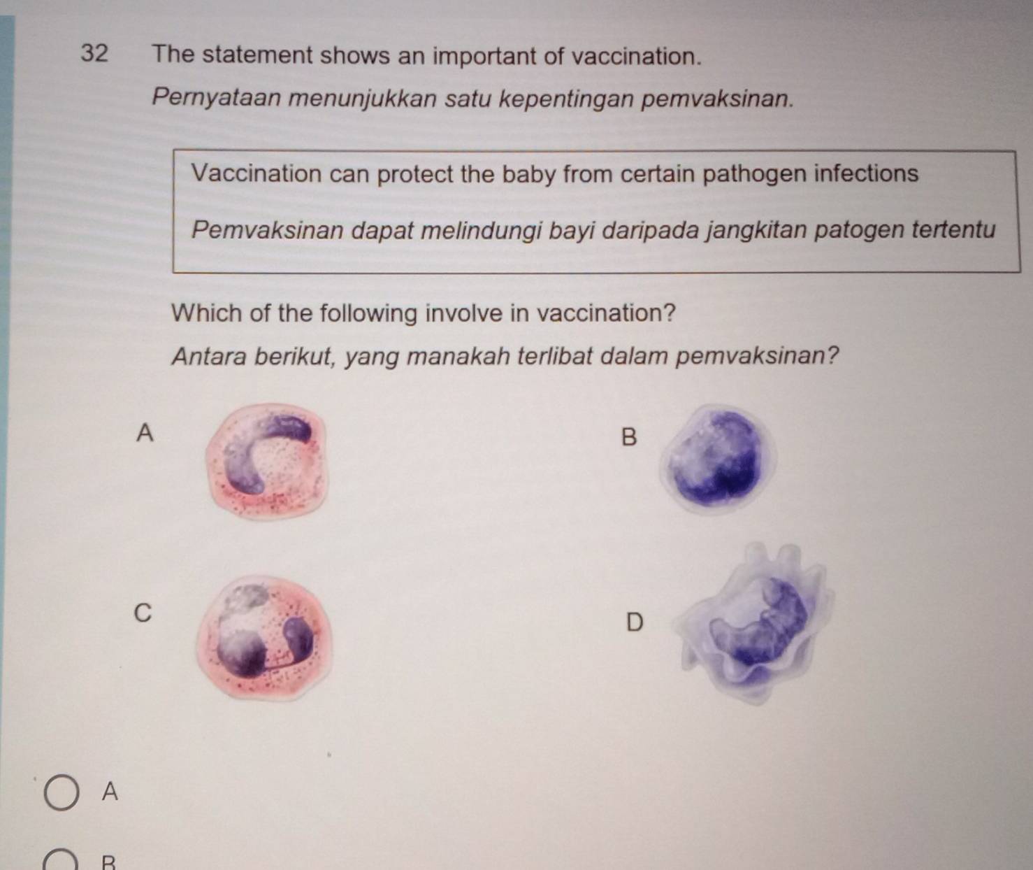 The statement shows an important of vaccination.
Pernyataan menunjukkan satu kepentingan pemvaksinan.
Vaccination can protect the baby from certain pathogen infections
Pemvaksinan dapat melindungi bayi daripada jangkitan patogen tertentu
Which of the following involve in vaccination?
Antara berikut, yang manakah terlibat dalam pemvaksinan?
A
B
C
D
A
B