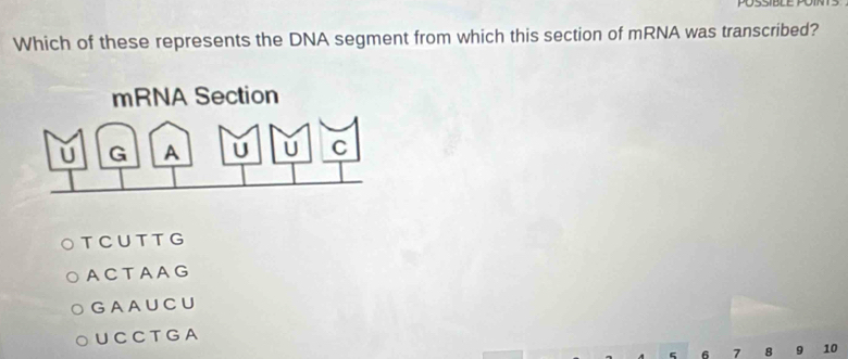 Which of these represents the DNA segment from which this section of mRNA was transcribed?
TCUTTG
ACTAAG
GAAUCU
UC CT G A
6 7 8 9 10