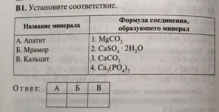 B1. Уcтановите cooтветствие.
O т b ет