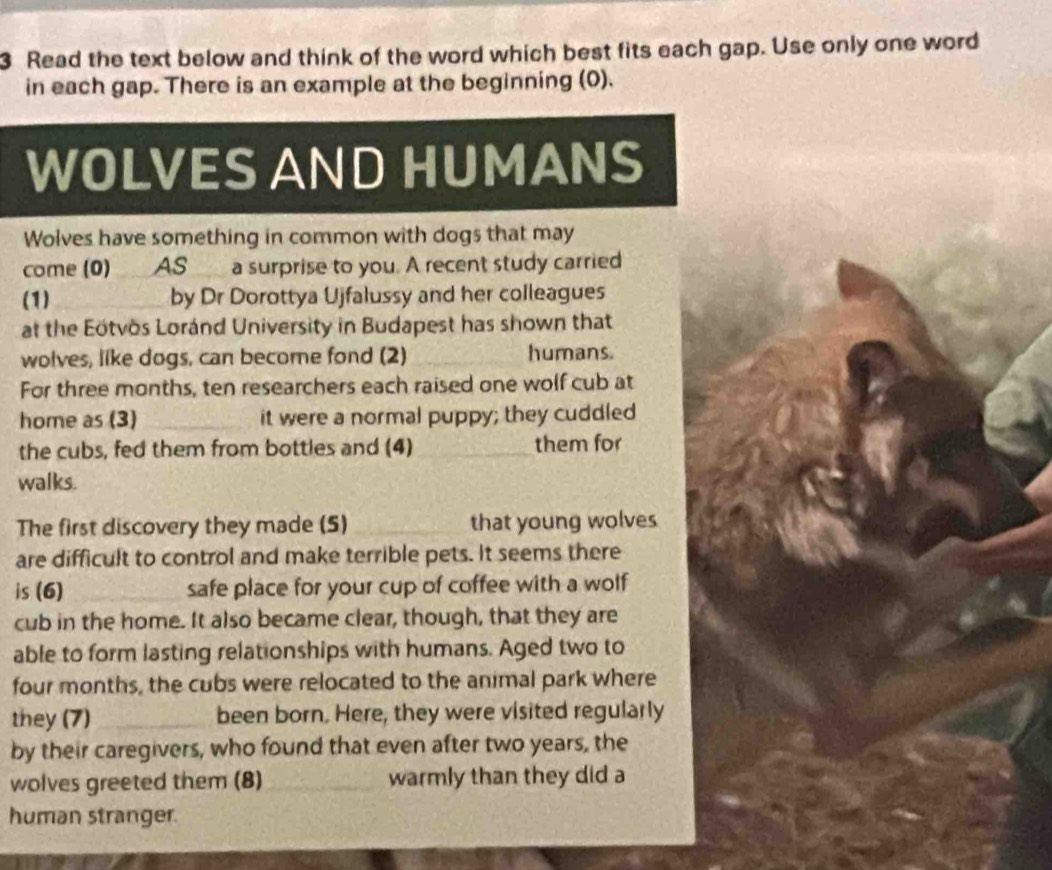 Read the text below and think of the word which best fits each gap. Use only one word 
in each gap. There is an example at the beginning (0). 
WOLVES AND HUMANS 
Wolves have something in common with dogs that may 
come (0) AS a surprise to you. A recent study carried 
(1)_ by Dr Dorottya Ujfalussy and her colleagues 
at the Eötvös Loránd University in Budapest has shown that 
wolves, like dogs, can become fond (2) _humans. 
For three months, ten researchers each raised one wolf cub at 
home as (3) _it were a normal puppy; they cuddled 
the cubs, fed them from bottles and (4) _them for 
walks. 
The first discovery they made (5) _that young wolves 
are difficult to control and make terrible pets. It seems there 
is (6) _safe place for your cup of coffee with a wolf 
cub in the home. It also became clear, though, that they are 
able to form lasting relationships with humans. Aged two to 
four months, the cubs were relocated to the animal park where 
they (7) _been born. Here, they were visited regularly 
by their caregivers, who found that even after two years, the 
wolves greeted them (8)_ warmly than they did a 
human stranger.