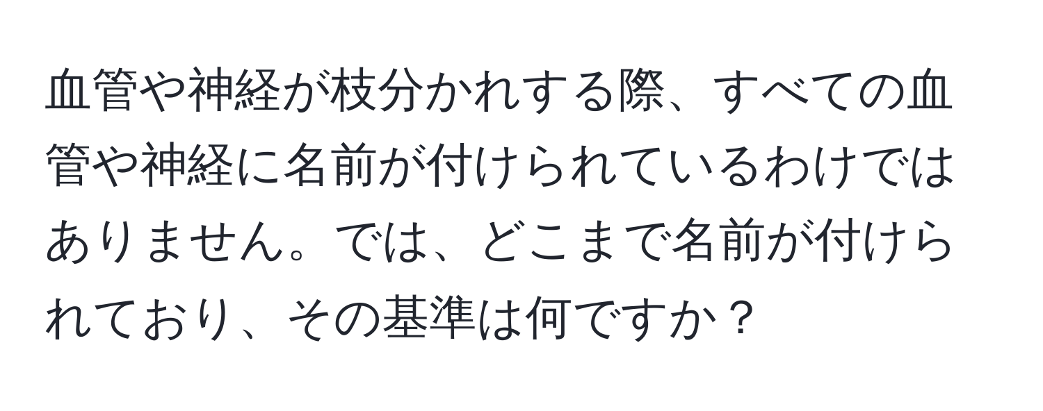 血管や神経が枝分かれする際、すべての血管や神経に名前が付けられているわけではありません。では、どこまで名前が付けられており、その基準は何ですか？