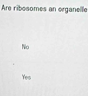 Are ribosomes an organelle
No
Yes