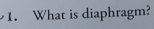 What is diaphragm?