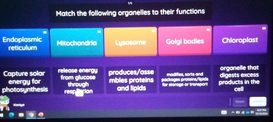 1/6
Match the following organelles to their functions
Endoplasmic Mitochondria Lysosome Golgi bodies Chloropiast
reticulum
Capture solar release energy produces/asse modifies, sorts and digests excess organelle that
energy for from glucose mbles proteins packages proteins/lipids
through
photosynthesis respllation and lipids for storage or transport products in the
cell
AD