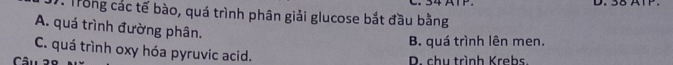 Trong các tế bào, quá trình phân giải glucose bắt đầu bằng 34 A1
A. quá trình đường phân.
B. quá trình lên men.
C. quá trình oxy hóa pyruvic acid.
D. chu trình Krebs.