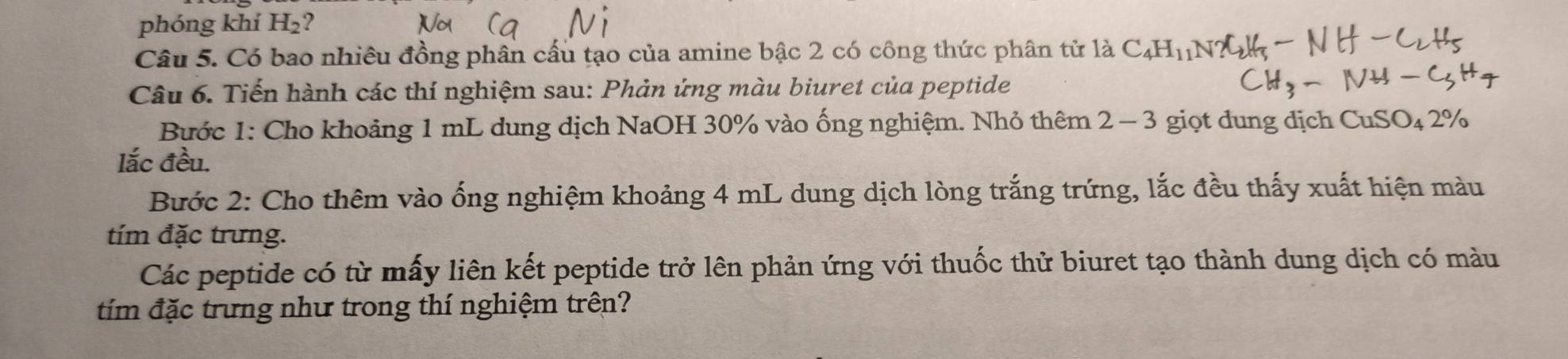 phóng khí H_2 ? 
Câu 5. Có bao nhiêu đồng phân cấu tạo của amine bậc 2 có công thức phân tử là C_4H_11
Câu 6. Tiến hành các thí nghiệm sau: Phản ứng màu biuret của peptide 
Bước 1: Cho khoảng 1 mL dung dịch NaOH 30% vào ống nghiệm. Nhỏ thêm 2-3 giọt dung dịch CuSO_42%
lắc đều. 
Bước 2: Cho thêm vào ống nghiệm khoảng 4 mL dung dịch lòng trắng trứng, lắc đều thấy xuất hiện màu 
tím đặc trưng. 
Các peptide có từ mấy liên kết peptide trở lên phản ứng với thuốc thử biuret tạo thành dung dịch có màu 
tím đặc trưng như trong thí nghiệm trên?