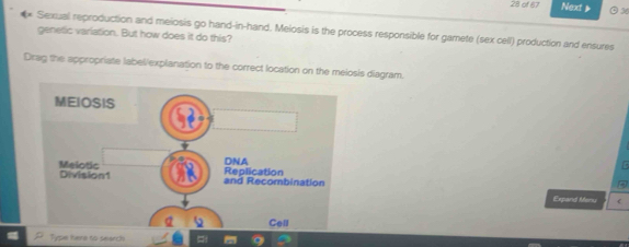 of 67 Next 36 
** Sexual reproduction and meiosis go hand-in-hand. Melosis is the process responsible for gamete (sex cell) production and ensures 
genetic variation. But how does it do this? 
Drag the appropriate label/explanation to the correct location on the melosis diagram. 
Expand Menu 
Type here to search