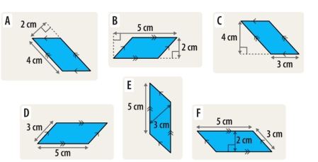 A
E
5 cm
* 3 cm