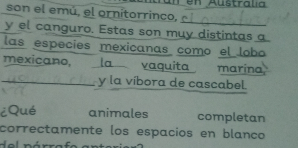 en Australia 
son el emú, el ornitorrinco, 
y el canguro. Estas son muy distintas a 
las especies mexicanas como el lobo 
mexicano, la vaquita marina, 
_y la víbora de cascabel. 
¿Qué animales completan 
correctamente los espacios en blanco 
d e l párrafo a n