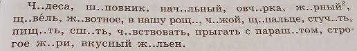 ч..деса, ш.повник, нач..льный,овч..рка, ж..рный， 
Ⅲ.в∈ль, ж..вотное, в нашу рош.., ч..жой, Ш.пальце, стуч..ть, 
пиⅢ..ть, сⅢ..ть, ч..вствовать, прыгать с параⅢ..том, стро- 
roе ж..ри, вкусhый ж..льен.