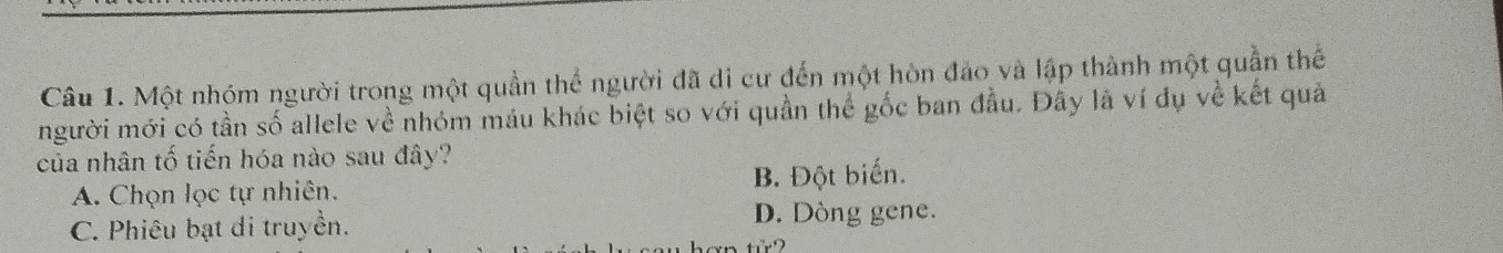 Một nhóm người trong một quần thể người đã di cư đến một hòn đảo và lập thành một quần thế
người mới có tần số allele về nhóm máu khác biệt so với quần thể gốc ban đầu. Đây là ví đụ về kết quả
của nhân tố tiến hóa nào sau đây?
A. Chọn lọc tự nhiên. B. Đột biến.
C. Phiêu bạt di truyền. D. Dòng gene.