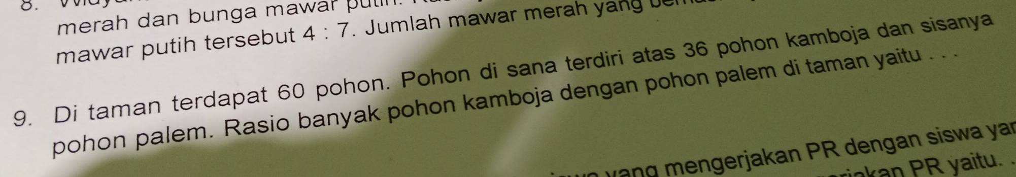 merah dan bunga mawar puln. 
mawar putih tersebut 4:7. Jumlah mawar merah yang ben 
9. Di taman terdapat 60 pohon. Pohon di sana terdiri atas 36 pohon kamboja dan sisanya 
pohon palem. Rasio banyak pohon kamboja dengan pohon palem di taman yaitu . . . 
lang mengerjakan PR dengan siswa yar 
jakan PR yaitu.