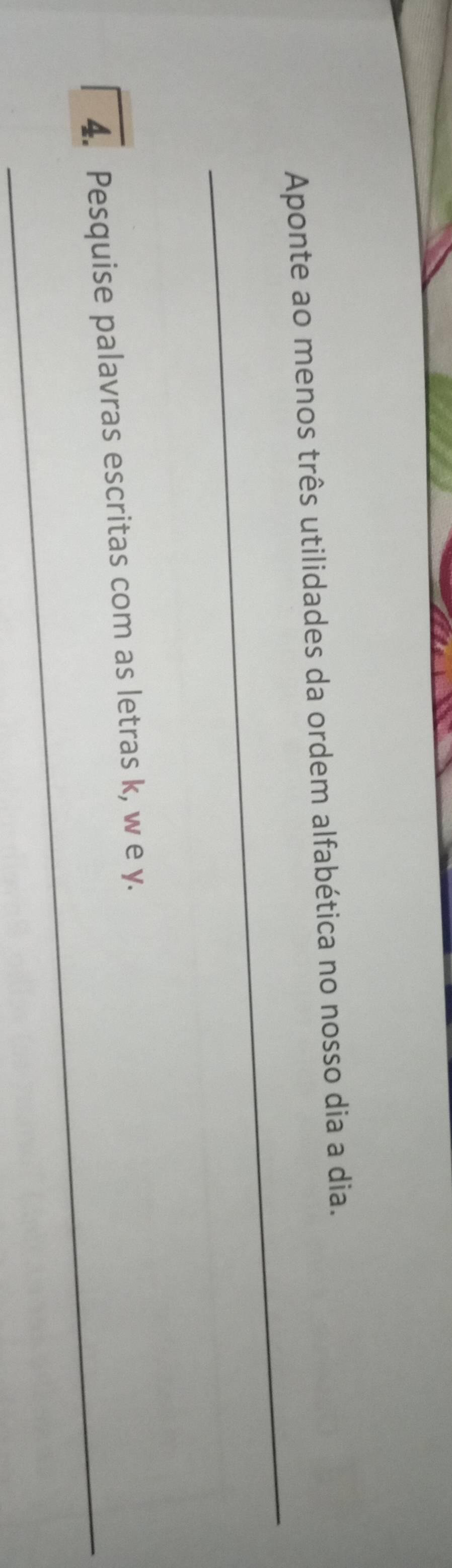 Aponte ao menos três utilidades da ordem alfabética no nosso dia a dia. 
_ 
4. Pesquise palavras escritas com as letras k, w e y.