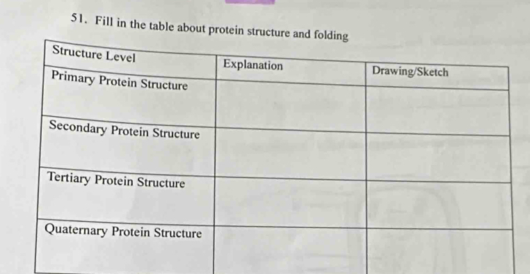 Fill in the table about protein struc