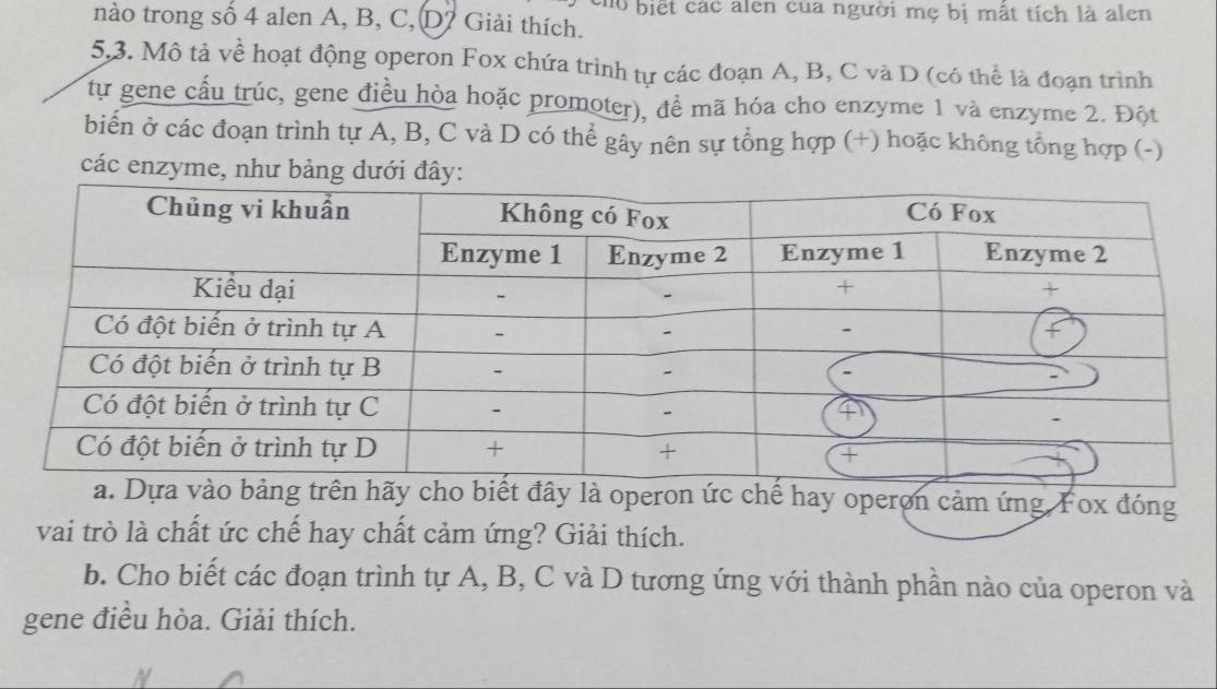 củo biết các alen của người mẹ bị mất tích là alen 
nào trong số 4 alen A, B, C, D? Giải thích. 
5.3. Mô tả về hoạt động operon Fox chứa trình tự các đoạn A, B, C và D (có thể là đoạn trình 
tự gene cấu trúc, gene điều hòa hoặc promoter), đề mã hóa cho enzyme 1 và enzyme 2. Đột 
biến ở các đoạn trình tự A, B, C và D có thể gây nên sự tổng hợp (+) hoặc không tổng hợp (-) 
các enzyme, như bảng dưới đây: 
biết đây là operon ức chế hay operon cảm ứng. Fox đóng 
vai trò là chất ức chế hay chất cảm ứng? Giải thích. 
b. Cho biết các đoạn trình tự A, B, C và D tương ứng với thành phần nào của operon và 
gene điều hòa. Giải thích.