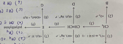 beginarrayr □ forimetentin1erneter>0 cher-Clar= □ /30  when ander-oforofofor-en 0= □ /30 orw when b un when 0endarray polye