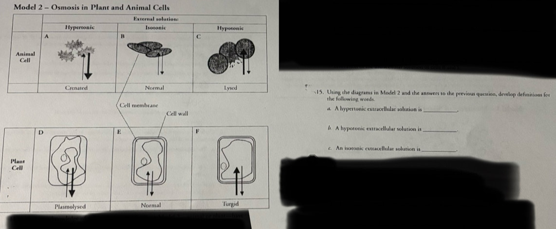 Model 2 - Osmosis in Plant and Animal Cells 
External solution: 
Hypertonic Isotonic Hypotonic 
A 
B 
C 
Animal 
Cell 
Crenated Normal Lysed 15. Using the diagrams in Model 2 and the answers to the previous question, develop definitions for 
the following words. 
Cell membrane a. A hypertonic extracellular solution is_ 
Cell wall 
D 
6 A hypotonic extracellular solution is_ 
c. An isotonic extracellular solution is __. 
Plant 
Cell 
Plasmolysed