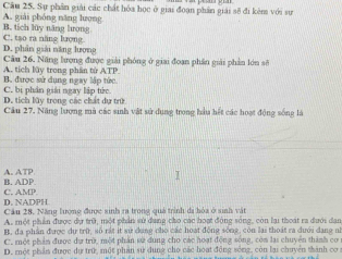 Sự phần giải các chất hóa học ở giai đoạn phân giải sẽ đi kèm với sự
B. tích lũy năng hrong A. giải phóng năng lượng
D. phân giải năng lượng C. tạo ra năng lượng
A. tích lây trong phần tử ATP. Câu 26, Năng lượng được giải phóng ở giai đoạn phần giải phần lớn sở
C. bị phần giải ngay lập tức. B. được sử dụng ngay lập tức
D. tích lây trong các chất dự trữ
Câu 27. Năng lượng mà các sinh vật sử dụng trọng hầu hết các hoạt động sống là
B. ADP. A. ATP
D. NADPH C. AMP
Câu 28. Năng lượng được sinh ra trong quá trình đi hóa ở sinh vật
A. một phần được dự trữ, một phần sử dang cho các hoạt động sóng, còn lại thoát ra dưới dan
B. đa phân được dự trữ, số rắt ít sử dụng cho các hoạt động sống, còn lại thoát ra đưới dang nữ
C. một phản được dự trờ, một phản sử dung cho các hoạt động sông, còn lạs chuyển thành cơ
D. một phần được dự trữ, một phản sử dung cho các hoạt động sóng, còn lại chuyển thành cơ