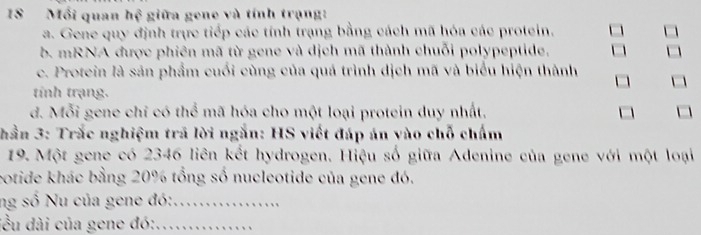 Mối quan hệ giữa gene và tính trạng:
a. Gene quy định trực tiếp các tính trạng bằng cách mã hóa các protein.
b. mRNA được phiên mã từ gene và dịch mã thành chuỗi polypeptide,
c. Protein là sản phẩm cuối cùng của quả trình dịch mã và biểu hiện thành
tính trạng.
đ. Mỗi gene chỉ có thể mã hóa cho một loại protein duy nhất. 
Thần 3: Trắc nghiệm trã lời ngắn: HS viết đáp án vào chỗ chấm
19. Một gene có 2346 liên kết hydrogen. Hiệu số giữa Adenine của gene với một loại
cotide khác bằng 20% tổng số nucleotide của gene đó.
ng số Nu của gene đó:_
đều dài của gene đó:_