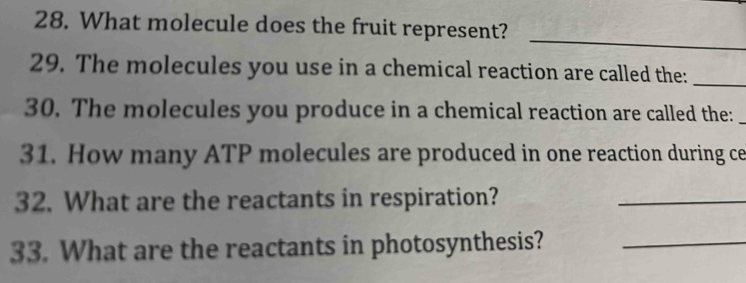 What molecule does the fruit represent? 
_ 
29. The molecules you use in a chemical reaction are called the:_ 
30. The molecules you produce in a chemical reaction are called the:_ 
31. How many ATP molecules are produced in one reaction during ce 
32. What are the reactants in respiration? 
_ 
33. What are the reactants in photosynthesis?_