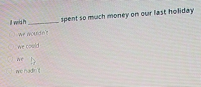 wish _spent so much money on our last holiday
we wouldn't
we could
we
we hadn't