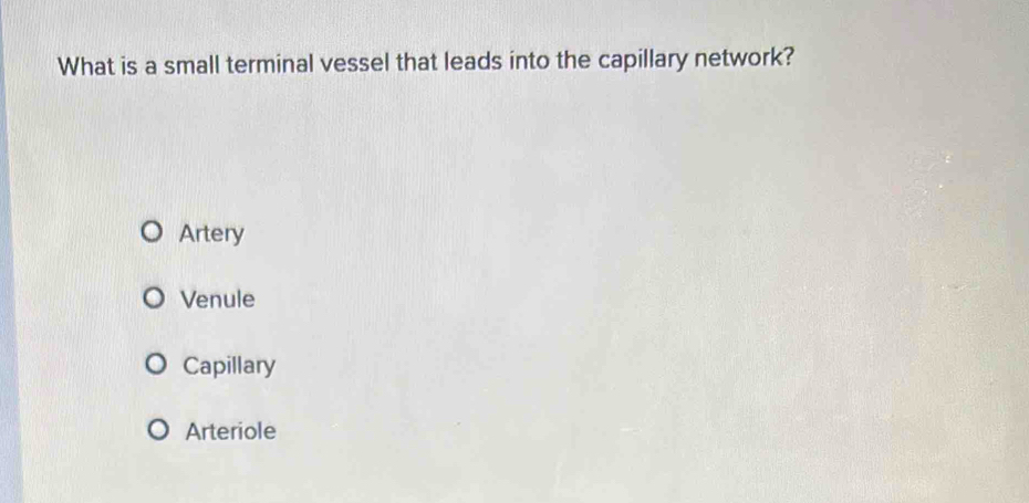 What is a small terminal vessel that leads into the capillary network?
Artery
Venule
Capillary
Arteriole