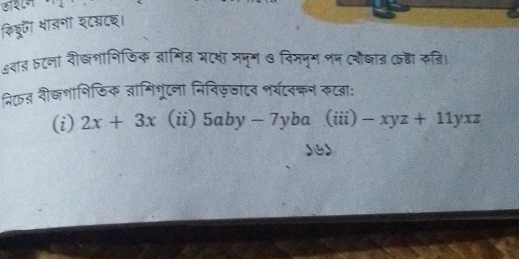 ऊाश८न
किघू भाबनीं श८सटछ।
शवाब ठ८ना रीख्शानिजिक वागिज् भटशा ममूग ७ विममूम शम (शौ्ात (हठा कब्ि।
निक् शी्शानिफिक जमिशूटना निनिज़जाटन भर्यटवक्न कटबा:
(i) 2x+3x (ii) 5aby-7y ba (iii) -xyz+11yxz