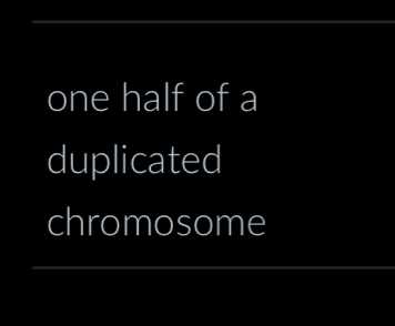 one half of a 
duplicated 
chromosome