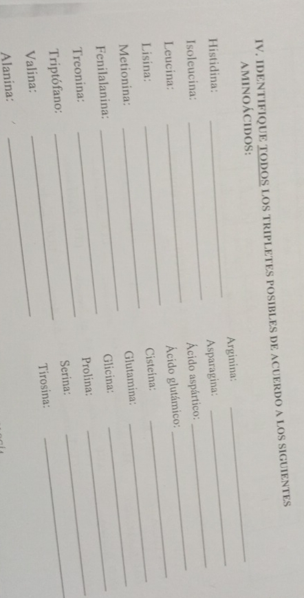 IDENTIFIQUE TODOS LOS TRIPLETES POSIBLES DE ACUERDO A LOS SIGUIENTES 
aminoácidos: 
_ 
Arginina: 
_ 
_ 
_ 
Histidina: 
Asparagina: 
_ 
_ 
_ 
Isoleucina: Ácido aspártico: 
_ 
Leucina: 
_ 
Ácido glutámico: 
_ 
Lisina: 
Cisteina:_ 
Metionina: 
Fenilalanina: _Glutamina:__ 
Glicina: 
Treonina:_ 
_ 
Prolina:_ 
_ 
Triptófano: Serina:_ 
Tirosina: 
Valina: 
Alanina: 
_