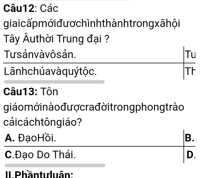 Các
gia ic ấp mới đư ơ chìn h thành trong xã hội
Tây Âuthời Trung đại ?
Tư s ản và vô s ản. Tu
Lãnh chú a và quý tộc. Th
Câu13: Tôn
giáo mớ in ào đượ cra đời trong phong trào
cảicáchtôngiáo?
A. Đạo Hồi. B.
C.Đạo Do Thái. D.
II. Phần tưluân: