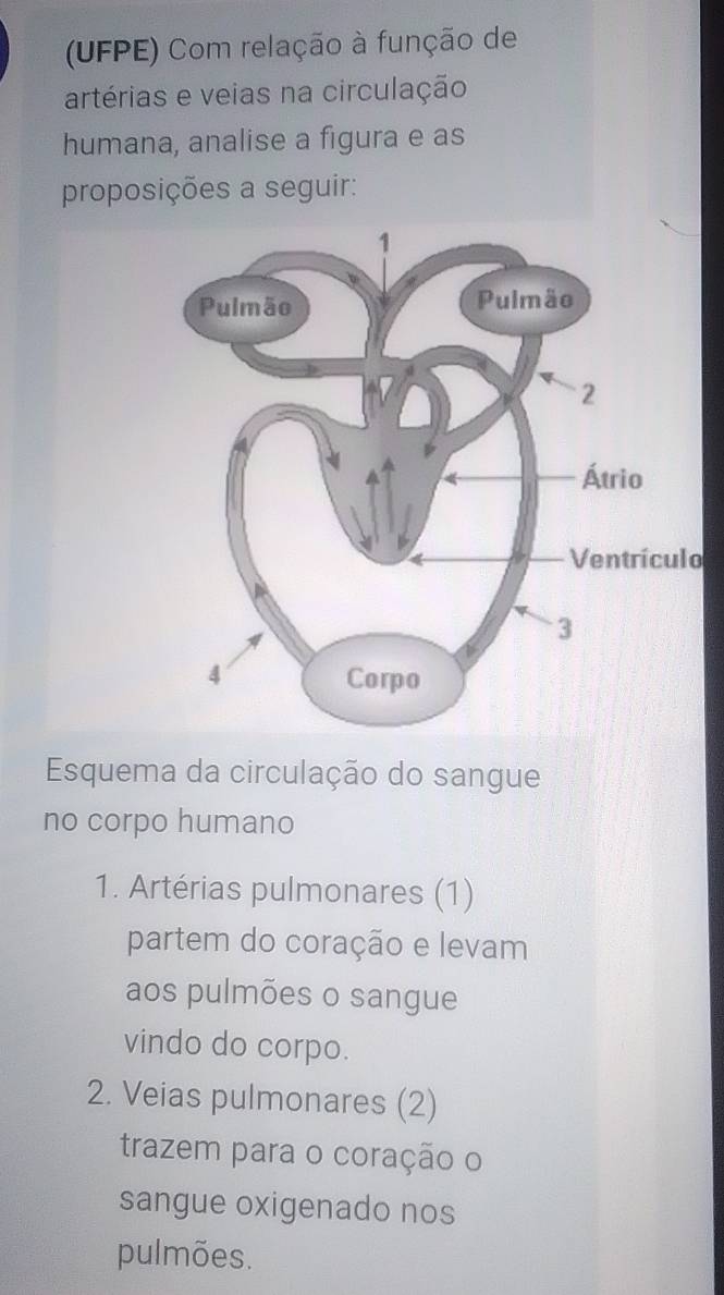 (UFPE) Com relação à função de 
artérias e veias na circulação 
humana, analise a figura e as 
proposições a seguir: 
o 
Esquema da circulação do sangue 
no corpo humano 
1. Artérias pulmonares (1) 
partem do coração e levam 
aos pulmões o sangue 
vindo do corpo. 
2. Veias pulmonares (2) 
trazem para o coração o 
sangue oxigenado nos 
pulmões.