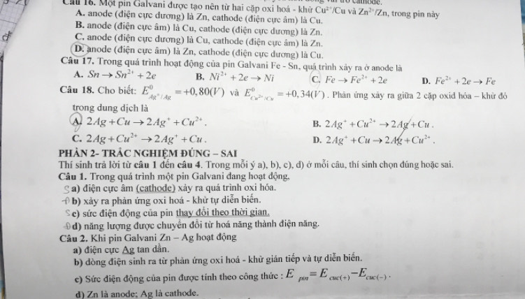 Cầu 1. Một pin Galvani được tạo nên từ hai cặp oxi hoá - khử Cu^(2+)/Cu và Zn^2/Zn 1, trong pin này
A. anode (điện cực đương) là Zn, cathode (điện cực âm) là Cu.
B. anode (điện cực âm) là Cu, cathode (điện cực dương) là Zn.
C. anode (điện cực dương) là Cu, cathode (điện cực âm) là Zn.
D. anode (điện cực âm) là Zn, cathode (điện cực dương) là Cu.
Câu 17. Trong quá trình hoạt động của pin Galvani Fe - Sn, quá trình xảy ra ở anode là
A. Snto Sn^(2+)+2e B. Ni^(2+)+2eto Ni C. Feto Fe^(2+)+2e D. Fe^(2+)+2eto Fe
Câu 18. Cho biết: E_Ag^+/Ag^0=+0,80(V) và E_cw^(2+)/cw^0=+0,34(V). Phân ứng xảy ra giữa 2 cặp oxid hỏa - khữ đó
trong dung dịch là
A. 2Ag+Cuto 2Ag^++Cu^(2+). B. 2Ag^++Cu^(2+)to 2Ag^/+Cu.
C. 2Ag+Cu^(2+)to 2Ag^++Cu. D. 2Ag^++Cuto 2Ag+Cu^(2+).
PHÀN 2- TRÂC NGHIỆM ĐÚNG - SAI
Thí sinh trả lời từ câu 1 đến câu 4. Trong mỗi ý a), b), c), đ) ở mỗi câu, thí sinh chọn đúng hoặc sai.
Câu 1. Trong quá trình một pin Galvani dang hoạt động,
S a) điện cực âm (cathode) xảy ra quá trình oxi hóa.
1) ) b) xảy ra phản ứng oxi hoá - khử tự diễn biển.
S c) sức điện động của pin thay đổi theo thời gian.
④d) năng lượng được chuyển đồi từ hoá năng thành điện năng.
Câu 2. Khỉ pin Galvani Zn-Ag hoạt động
a) điện cực Ag; tan dần.
b) dòng điện sinh ra từ phản ứng oxi hoá - khữ gián tiếp và tự diễn biến.
c) Sức điện động của pin được tính theo công thức : E_pin=E_cuc(+)-E_cuc(-).
d) Zn là anode; Ag là cathode.