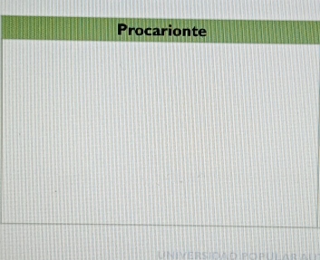 Procarionte