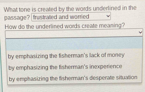 What tone is created by the words underlined in the 
passage? frustrated and worried 
meaning?