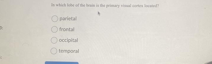 In which lobe of the brain is the primary visual cortex located?
parietal
3:
frontal
occipital
temporal