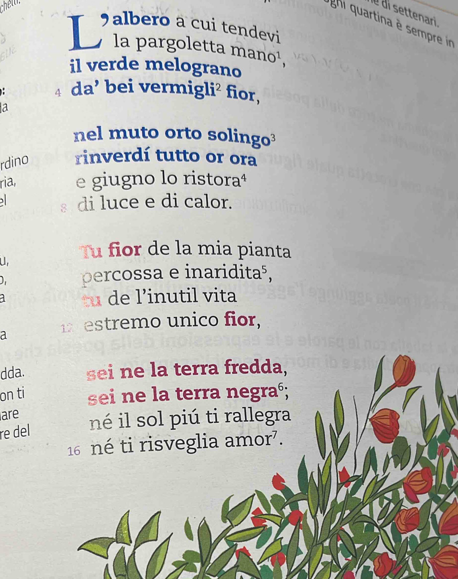 chell. 
U di settenari. 
ghi uartina è sempre in 
a albero a cui tendevi 
L la pargoletta mand )^1, 
il verde melograno 
4 da’ bei vermigli² fior, 
a 
nel muto orto solingo³ 
rdino rinverdí tutto or ora 
ria, e giugno lo ristoraª 
s di luce e di calor. 
Tu fior de la mia pianta 
U 
D. 
percossa e inariditaã, 
a 
tu de l’inutil vita 
a 
estremo unico fior, 
dda. 
on ti 
are 
re del