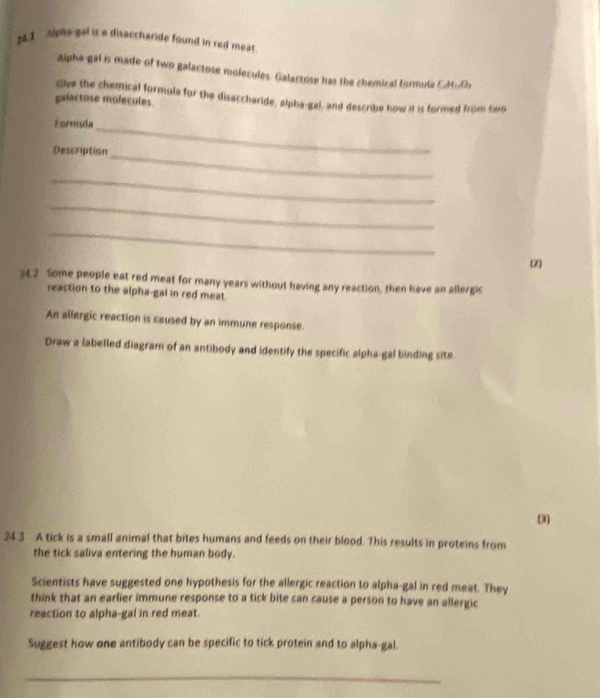 24 1 alpha-gal is a disaccharide found in red meat. 
Alpha-gal is made of two galactose molecules. Galactose has the chemical formula C4t.D 
Give the chemical formula for the disaccharide, alpha-gal, and describe how it is formed from two 
galactose molecules 
Formula 
_ 
Description_ 
_ 
_ 
_ 
(2) 
?4.2 Some people eat red meat for many years without having any reaction, then have an allergic 
reaction to the alpha-gal in red meat. 
An allergic reaction is caused by an immune response. 
Draw a labelled diagram of an antibody and identify the specific alpha-gal binding site 
(3) 
24.3 A tick is a small animal that bites humans and feeds on their blood. This results in proteins from 
the tick saliva entering the human body. 
Scientists have suggested one hypothesis for the allergic reaction to alpha-gal in red meat. They 
think that an earlier immune response to a tick bite can cause a person to have an allergic 
reaction to alpha-gal in red meat. 
Suggest how one antibody can be specific to tick protein and to alpha-gal. 
_