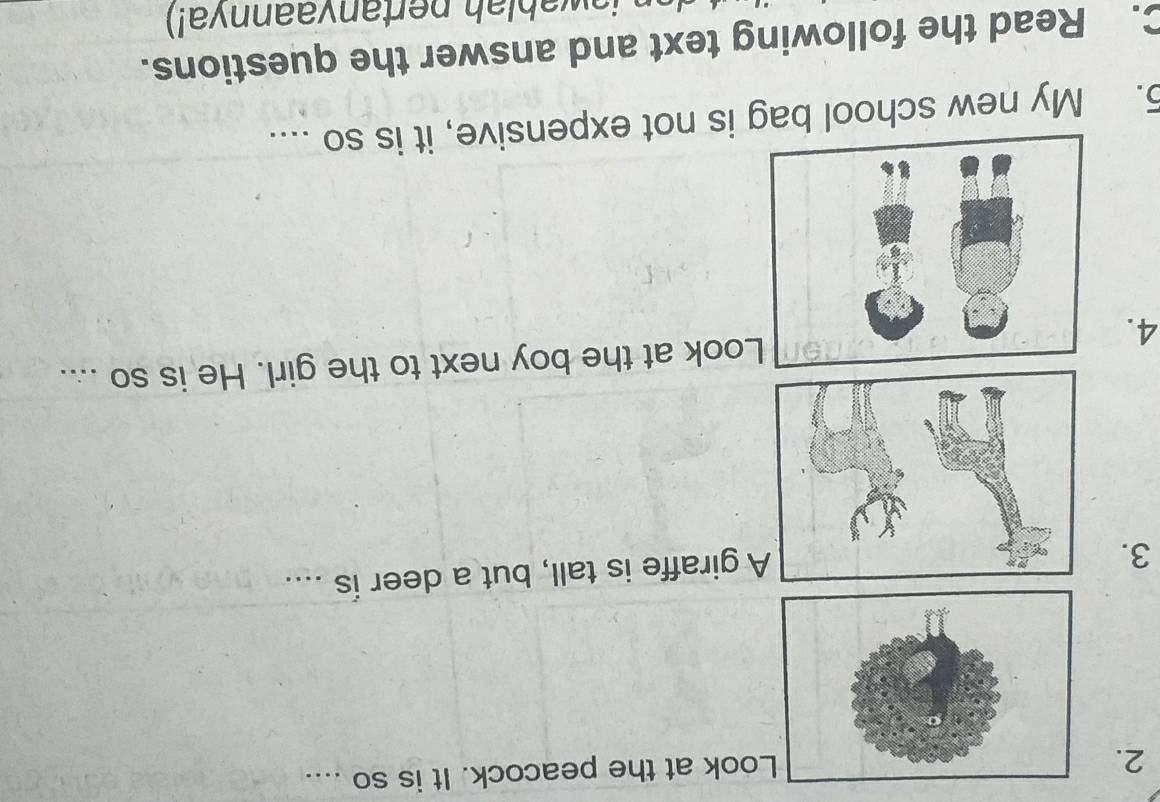 ook at the peacock. It is so .... 
3. 
A giraffe is tall, but a deer is .... 
4.ook at the boy next to the girl. He is so .... 
5. My new school bag is not expensive, it is so .... 
C. Read the following text and answer the questions. 
a w a b la h pertanvaannya!)