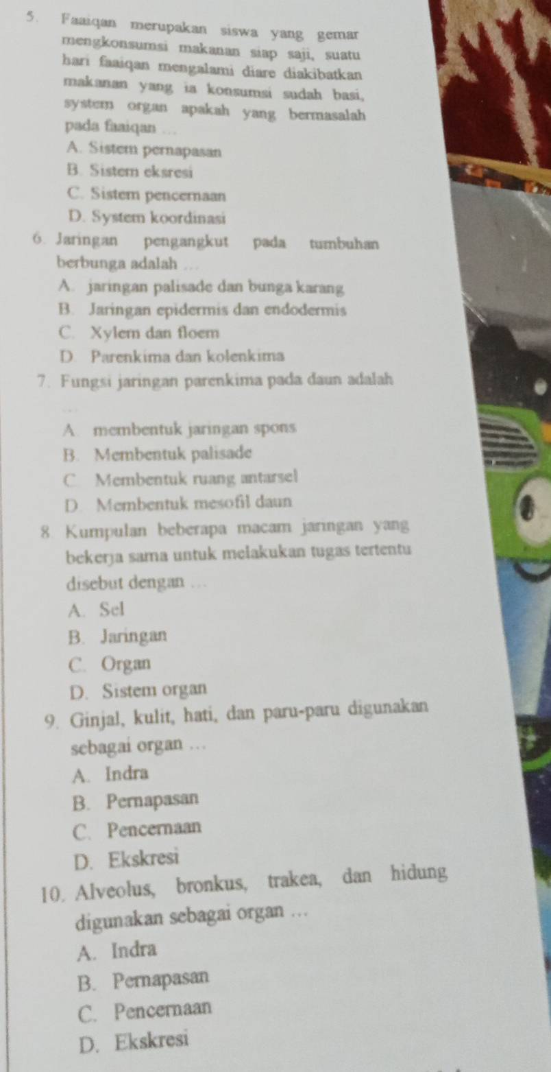 Faaiqan merupakan siswa yang gemar
mengkonsumsi makanan siap saji, suatu
hari faaiqan mengalami diare diakibatkan
makanan yang ia konsumsi sudah basi,
system organ apakah yang bermasalah
pada faaiqan …
A. Sistem pernapasan
B. Sistem eksresi
C. Sistem pencernaan
D. System koordinasi
6. Jaringan pengangkut pada tumbuhan
berbunga adalah .
A. jaringan palisade dan bunga karang
B. Jaringan epidermis dan endodermis
C. Xylem dan floem
D. Parenkima dan kolenkima
7. Fungsi jaringan parenkima pada daun adalah
A. membentuk jaringan spons
B. Membentuk palisade
C. Membentuk ruang antarsel
D. Membentuk mesofil daun
8. Kumpulan beberapa macam jaringan yang
bekerja sama untuk melakukan tugas tertentu
disebut dengan . .
A. Sel
B. Jaringan
C. Organ
D. Sistem organ
9. Ginjal, kulit, hati, dan paru-paru digunakan
sebagai organ …
A. Indra
B. Pernapasan
C. Pencernaan
D. Ekskresi
10. Alveolus, bronkus, trakea, dan hidung
digunakan sebagai organ ...
A. Indra
B. Pernapasan
C. Pencernaan
D. Ekskresi