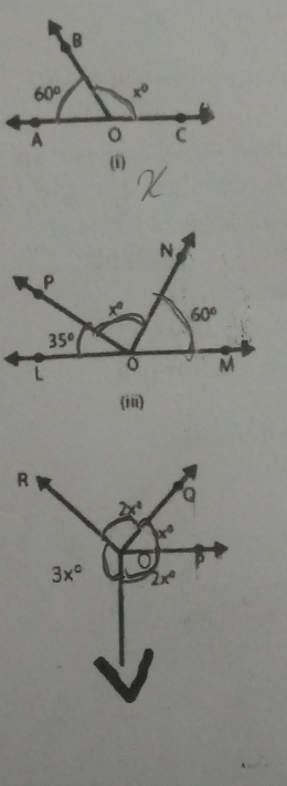 (iii)
R
Q
2x^4
x°
3x° 2x°