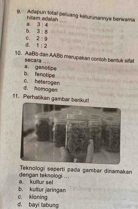 Adapun total peluang keturunannya berwarna
hitam adalah ....
a. 3:4
b. 3:8
C. 2:9
d. 1:2
10. AaBb dan AABb merupakan contoh bentuk sifat
secara ....
a. genotipe
b. fenotipe
c. heterogen
d. homogen
11. Perhatikan gambar berikut!
Teknologi seperti pada gambar dinamakan
dengan teknologi ...
a. kultur sel
b. kultur jaringan
c. kloning
d. bayi tabung