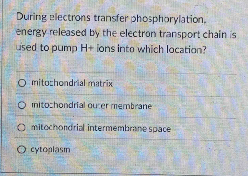 During electrons transfer phosphorylation,
energy released by the electron transport chain is
used to pump H+ ions into which location?
mitochondrial matrix
mitochondrial outer membrane
mitochondrial intermembrane space
cytoplasm