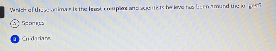 Which of these animals is the least complex and scientists believe has been around the longest?
A Sponges
B Cnidarians