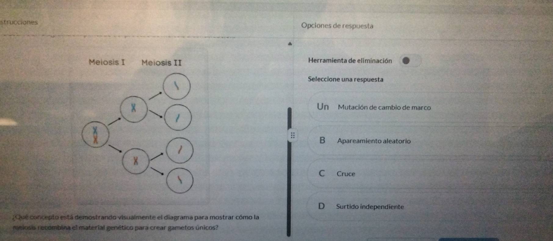 strucciones Opciones de respuesta
Herramienta de eliminación
Seleccione una respuesta
Un Mutación de cambio de marco
B Apareamiento aleatorio
C Cruce
D Surtido independiente
¿Qué concepto está demostrando visualmente el diagrama para mostrar cómo la
meiosis recombina el material genético para crear gametos únicos?