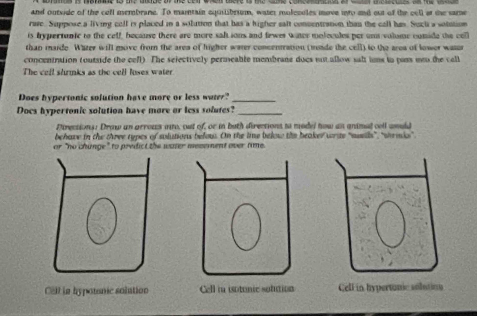 braon is tataine to the lkide of the cen when there io the Gane concentacion of water insiacates on the tatd 
and outside of the cell membrane. To mantain equilibrium, water molecules move into and out of the cell at the same 
rare. Suppose a living cell is placed in a solution that has a higher salt consentraton than the call has. Such a sotution 
is hypertunic to the celf, because there are more salt ions and fewer water molecules per un volume cumide the cell 
than inside. Water will move from the area of higher water concentration (insade the cell) to the ares of lower wase 
concentntion (outside the cell). The selectively permeable membrane does not allow salt ims to pass io the cell 
The cell shrinks as the cell loses water 
Does hypertonic solution have more or less water?_ 
Docs hypertonic solution have more or less solutes?_ 
Directions: Draw an grrous a, out of, or in both directions to medel how an animed cell wsuld 
behave in the three types of solutions below. On the lie below the beaker wrie "swells", "wrinks" 
or "no change" to predict the water mesement over time. 
Cell in hypotonic solution Cell in hypertonic solutioy