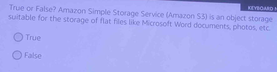 Solved: KEYBOARD True or False? Amazon Simple Storage Service (Amazon ...