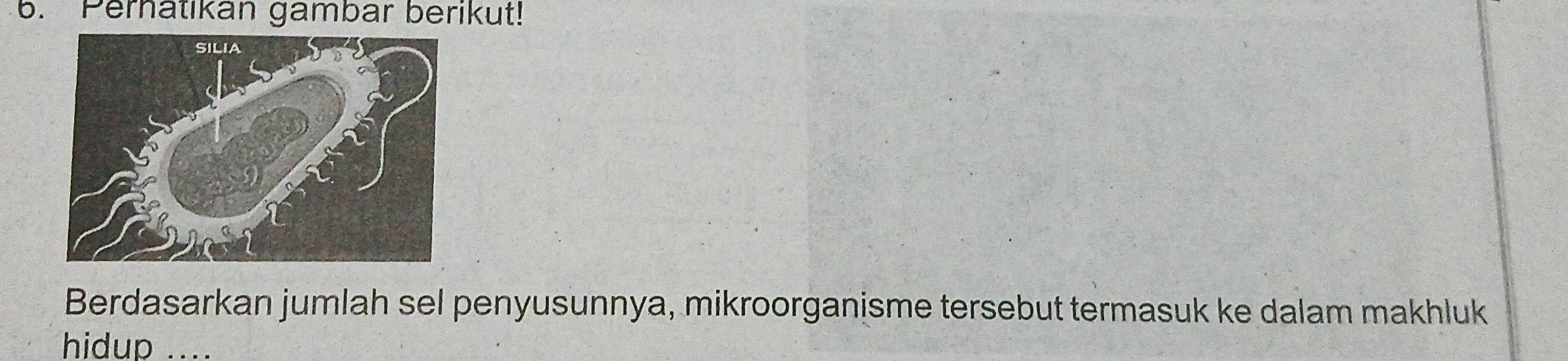 Pernatikan gambar berikut! 
Berdasarkan jumlah sel penyusunnya, mikroorganisme tersebut termasuk ke dalam makhluk 
hidup ....