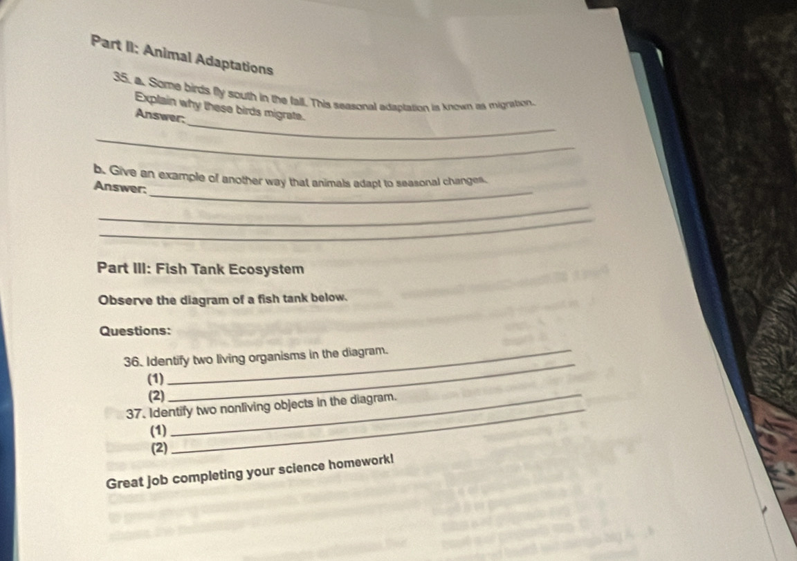 Part II: Animal Adaptations 
35. a. Some birds fly south in the fall. This seasonal adaptation is known as migration. 
_ 
Explain why these birds migrate. 
Answer: 
_ 
_ 
b. Give an example of another way that animals adapt to seasonal changes. 
Answer: 
_ 
_ 
Part III: Fish Tank Ecosystem 
Observe the diagram of a fish tank below. 
Questions: 
36. Identify two living organisms in the diagram. 
(1) 
_ 
(2)_ 
37. Identify two nonliving objects in the diagram. 
(1) 
(2) 
Great job completing your science homework!